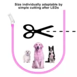 Glowing Dog Collar Waterproof USB Rechargeable - Image 11