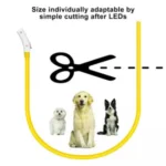 Glowing Dog Collar Waterproof USB Rechargeable - Image 12