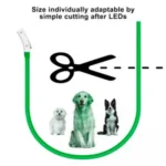 Glowing Dog Collar Waterproof USB Rechargeable - Image 13