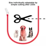 Glowing Dog Collar Waterproof USB Rechargeable - Image 14