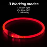 Glowing Dog Collar Waterproof USB Rechargeable - Image 4