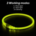 Glowing Dog Collar Waterproof USB Rechargeable - Image 3