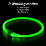 Glowing Dog Collar Waterproof USB Rechargeable - Image 2