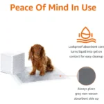 Charcoal Pee Pad Leak-Proof with Sticker - Image 3