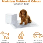 Charcoal Pee Pad Leak-Proof with Sticker - Image 4