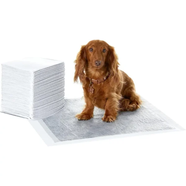 Charcoal Pee Pad Leak-Proof with Sticker