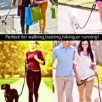 Dog Leash with Comfortable Padded Handle (4)