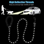 Dog Leash with Comfortable Padded Handle (4)