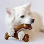 Wishbone Durable Dog Chew Toy - Image 4