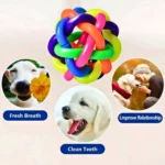 Bite-Resistant Rubber Ball Toy for Pet