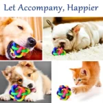 Bite-Resistant Rubber Ball Toy for Pet