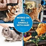 Pet-Daily-Kit Pet Grooming Gloves (1)