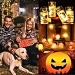 Pet Daily Kit Waterproof LED Pendant - Image 21