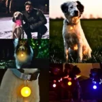Pet Daily Kit Waterproof LED Pendant - Image 17